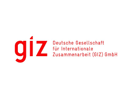 logo de giz